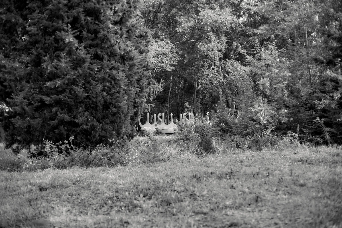 Lage – Pictures from Germany (2016–2026)