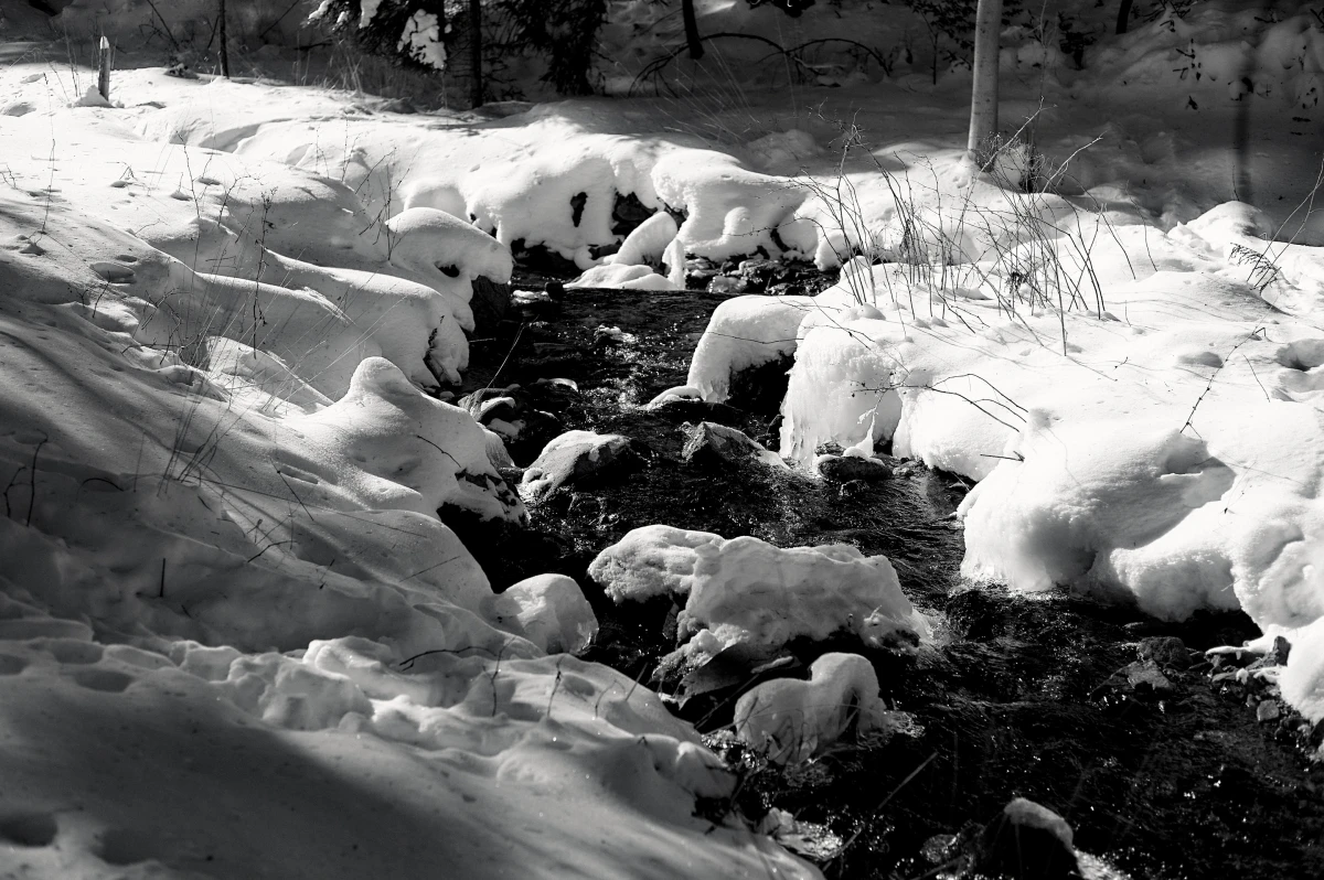 Lage – Pictures from Germany (2016–2026)